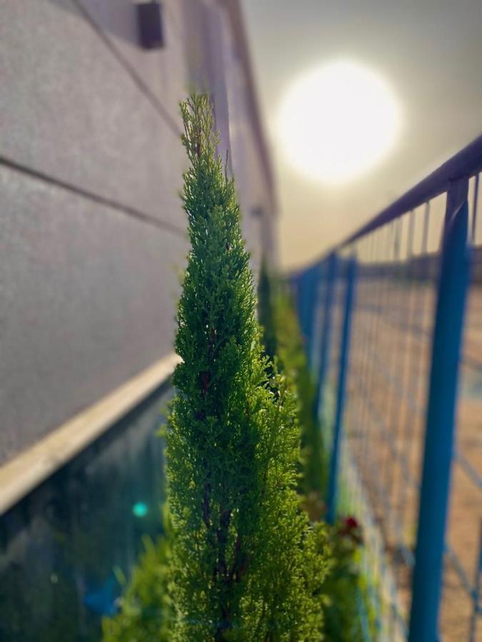 Taif Promise Villa 外观 照片